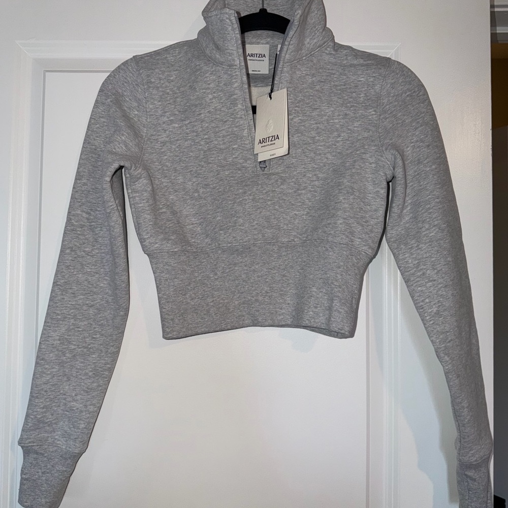 Aritzia Grey Cropped Hoodie